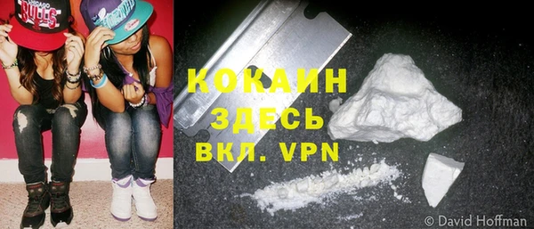 стаф Абаза