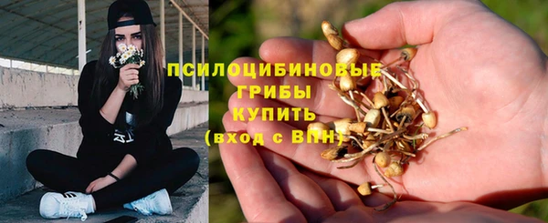 стаф Абаза