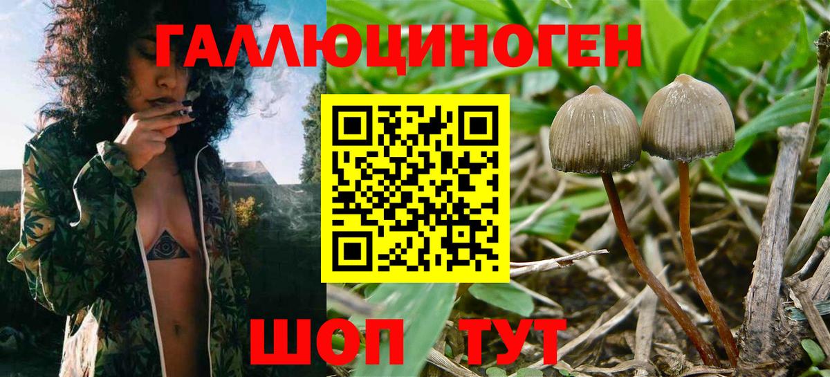 Галлюциногенные грибы ЛСД Нефтеюганск