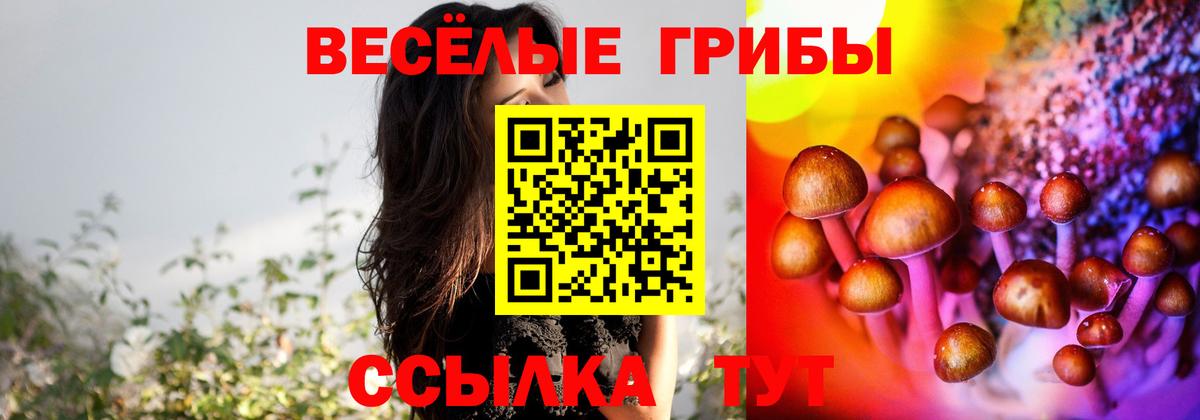 Галлюциногенные грибы Psilocybe  Вход с VPN  Галлюциногенные грибы мицелий  Нефтеюганск 